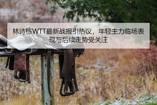 林诗栋WTT最新战报引热议，年轻主力临场表现与后续走势受关注